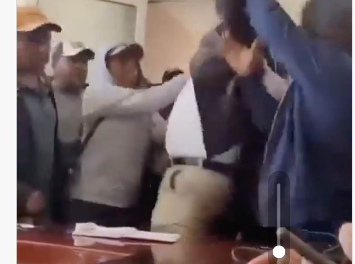 Morena Ya Mamó